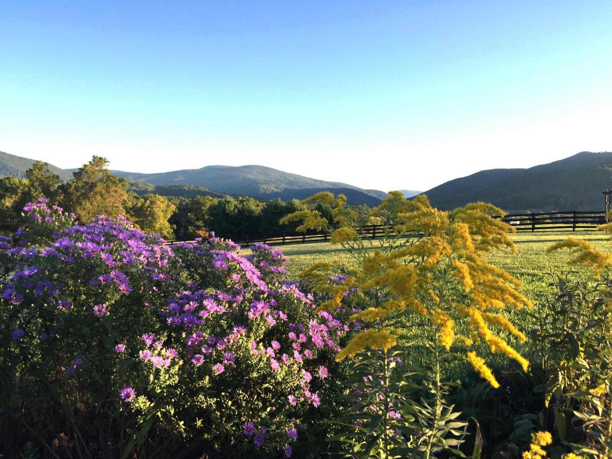 Montfair Resort Farm Crozet Chambre photo