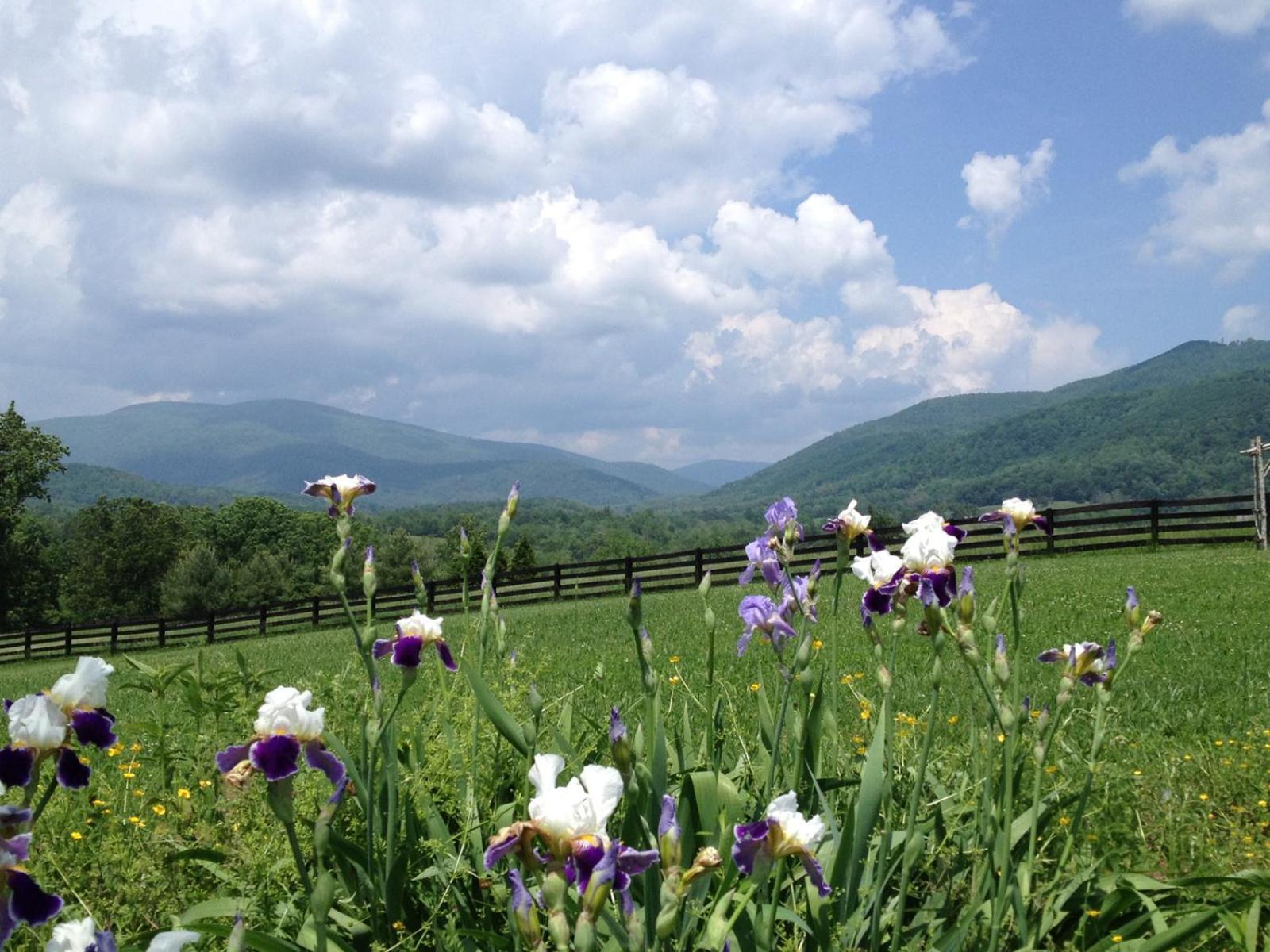 Montfair Resort Farm Crozet Chambre photo