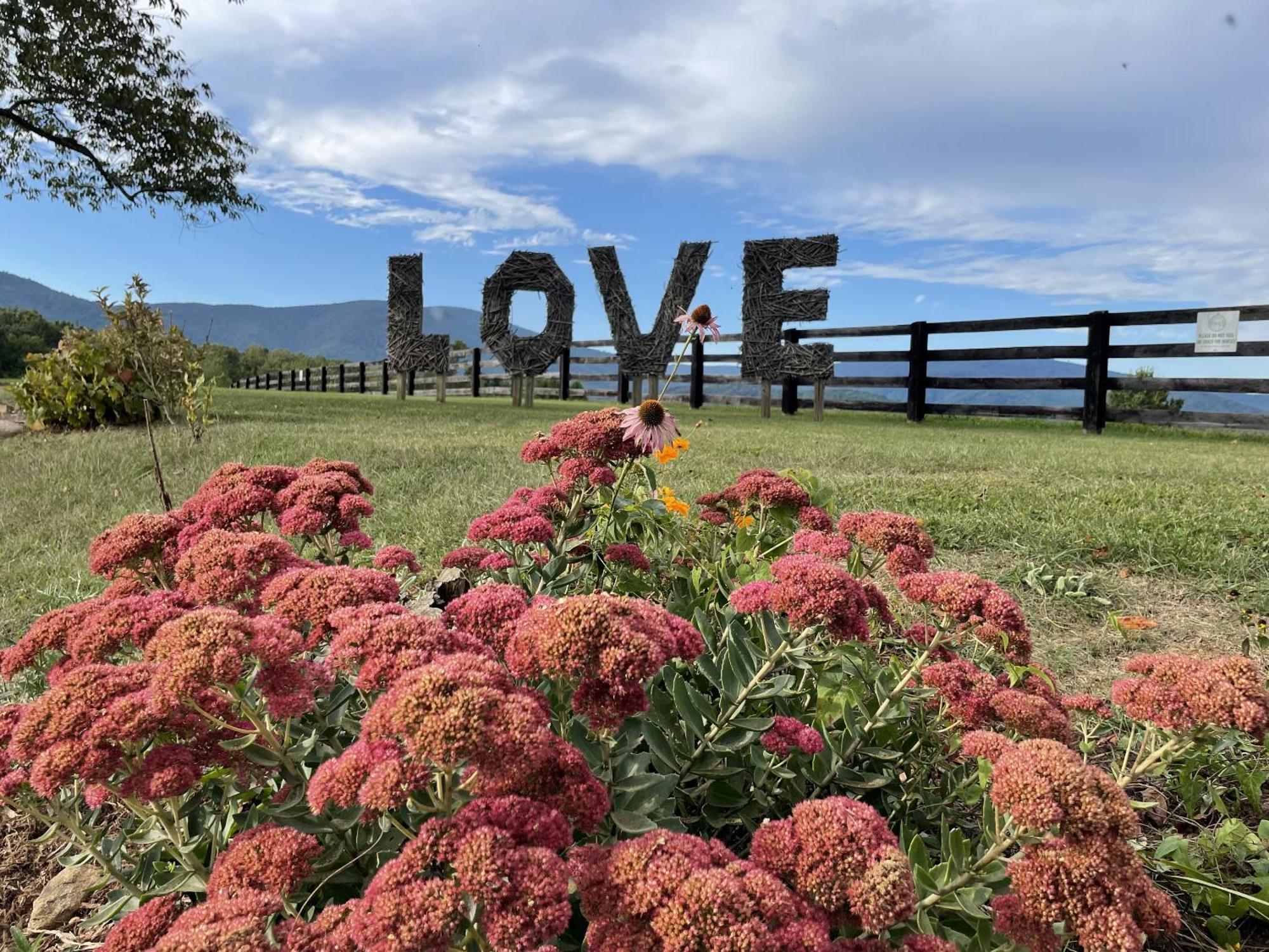 Montfair Resort Farm Crozet Chambre photo